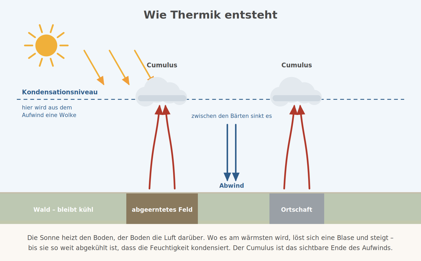 Schnitt durch eine Thermiklandschaft: die Sonne heizt Feld und Ortschaft stärker als den Wald, darüber steigen Aufwindschläuche zum Kondensationsniveau auf und bilden Cumuluswolken, dazwischen sinkt die Luft ab.